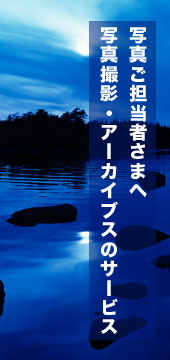 top_banner2.jpg