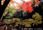 phot_sekai4_07.jpg